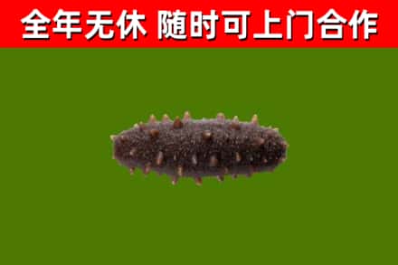 江岸区烟酒回收干海参.jpg
